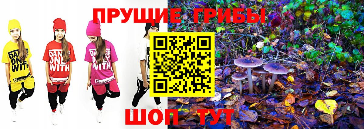 Псилоцибиновые грибы ЛСД  купить   Дагестанские Огни 