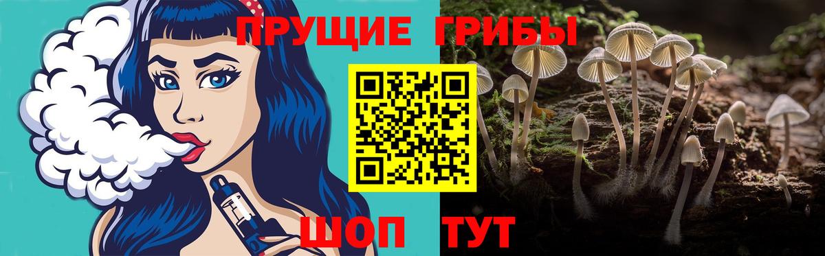 Галлюциногенные грибы мицелий Дагестанские Огни